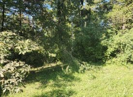 Lot 79 Mystic Mountain Blvd, Delray, WV