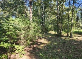 Lot 79 Mystic Mountain Blvd, Delray, WV