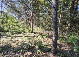 Lot 79 Mystic Mountain Blvd, Delray, WV