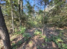 Lot 79 Mystic Mountain Blvd, Delray, WV