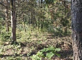 Lot 79 Mystic Mountain Blvd, Delray, WV
