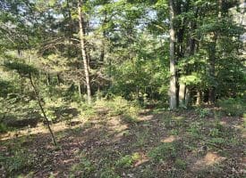 Lot 79 Mystic Mountain Blvd, Delray, WV