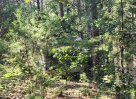 Lot 79 Mystic Mountain Blvd, Delray, WV