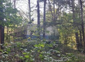 Lot 79 Mystic Mountain Blvd, Delray, WV