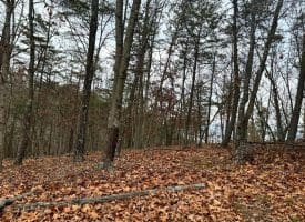 6 Beaver Run Rd, Burlington, WV 26710