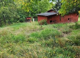 2445 Bear Wallow Hollow Rd, Augusta, WV 26704