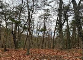 6 Beaver Run Rd, Burlington, WV 26710