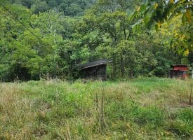 2445 Bear Wallow Hollow Rd, Augusta, WV 26704