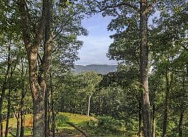 175 White Oak Crossing Rd, Moorefield, WV 26836