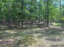 6 Beaver Run Rd, Burlington, WV 26710