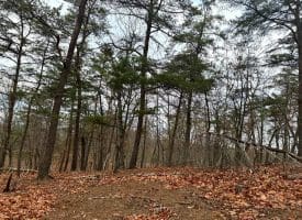 6 Beaver Run Rd, Burlington, WV 26710