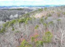 6 Beaver Run Rd, Burlington, WV 26710