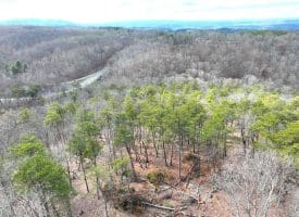 6 Beaver Run Rd, Burlington, WV 26710