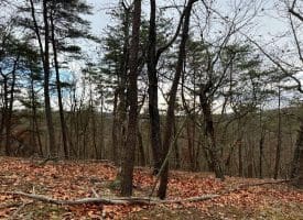 6 Beaver Run Rd, Burlington, WV 26710