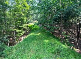 6 Beaver Run Rd, Burlington, WV 26710