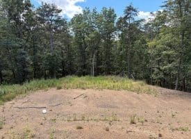 20.32 Ac Trough Rd, Moorefield, WV 26836