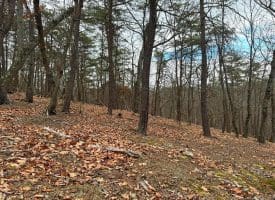 6 Beaver Run Rd, Burlington, WV 26710