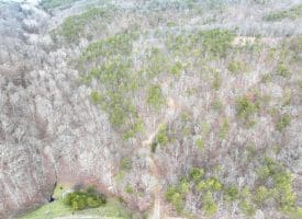6 Beaver Run Rd, Burlington, WV 26710