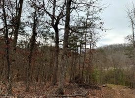 6 Beaver Run Rd, Burlington, WV 26710