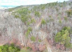 6 Beaver Run Rd, Burlington, WV 26710