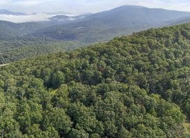 175 White Oak Crossing Rd, Moorefield, WV 26836
