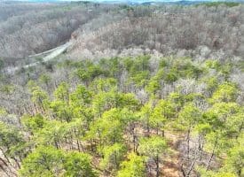 6 Beaver Run Rd, Burlington, WV 26710