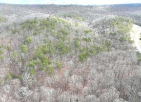 6 Beaver Run Rd, Burlington, WV 26710