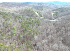 6 Beaver Run Rd, Burlington, WV 26710