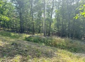 6 Beaver Run Rd, Burlington, WV 26710