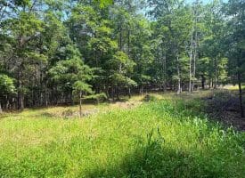 6 Beaver Run Rd, Burlington, WV 26710