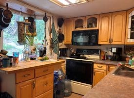 444 Nugget Dr, Capon Bridge, WV 26711