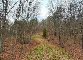 6 Beaver Run Rd, Burlington, WV 26710