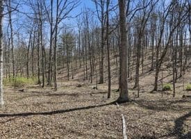 20.32 Ac Trough Rd, Moorefield, WV 26836