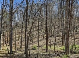 20.32 Ac Trough Rd, Moorefield, WV 26836