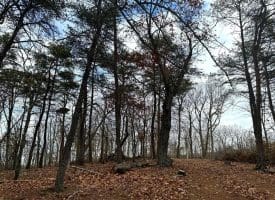 6 Beaver Run Rd, Burlington, WV 26710