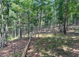 6 Beaver Run Rd, Burlington, WV 26710