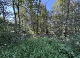 4.16 Ac Falconwood Rd, Paw Paw, WV 25434