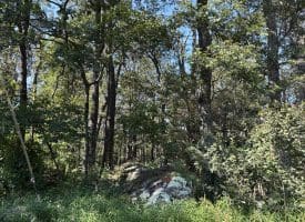 4.16 Ac Falconwood Rd, Paw Paw, WV 25434
