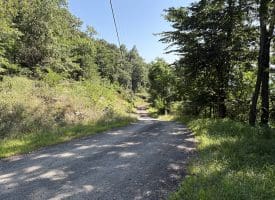 5.05 Ac Hoy Rd, Augusta, WV 26704