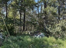 4.16 Ac Falconwood Rd, Paw Paw, WV 25434