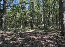 5.05 Ac Hoy Rd, Augusta, WV 26704