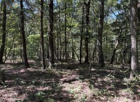5.05 Ac Hoy Rd, Augusta, WV 26704