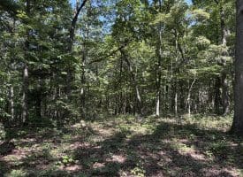 5.05 Ac Hoy Rd, Augusta, WV 26704