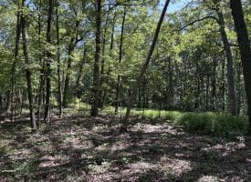 5.05 Ac Hoy Rd, Augusta, WV 26704