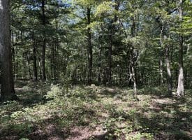 5.05 Ac Hoy Rd, Augusta, WV 26704