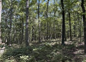 5.05 Ac Hoy Rd, Augusta, WV 26704