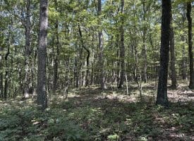 5.05 Ac Hoy Rd, Augusta, WV 26704