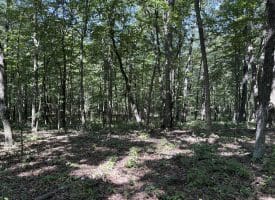 5.05 Ac Hoy Rd, Augusta, WV 26704