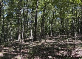 5.05 Ac Hoy Rd, Augusta, WV 26704