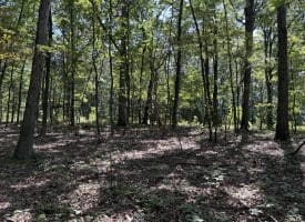 5.05 Ac Hoy Rd, Augusta, WV 26704
